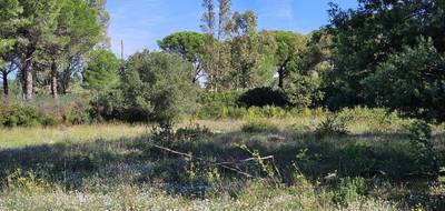 Terrain et maison à Puget-sur-Argens en Var (83) de 95 m² à vendre au prix de 485000€ - 3