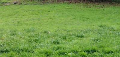 Terrain et maison à Arc-sur-Tille en Côte-d'Or (21) de 94 m² à vendre au prix de 302242€ - 4