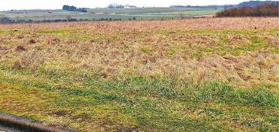 Terrain à Haucourt-Moulaine en Meurthe-et-Moselle (54) de 311 m² à vendre au prix de 90500€ - 3