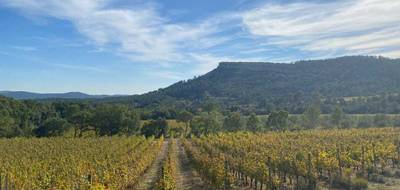 Terrain à Lauret en Hérault (34) de 788 m² à vendre au prix de 179900€ - 3