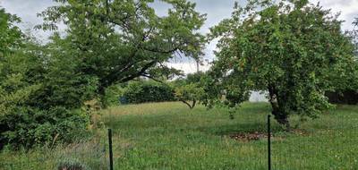 Terrain et maison à Mandres-les-Roses en Val-de-Marne (94) de 120 m² à vendre au prix de 350000€ - 3