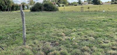 Terrain et maison à Sainte-Flaive-des-Loups en Vendée (85) de 90 m² à vendre au prix de 249253€ - 3