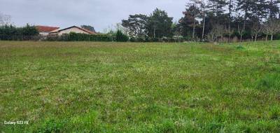 Terrain à Graulhet en Tarn (81) de 3979 m² à vendre au prix de 90000€ - 2