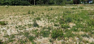 Terrain à Habarcq en Pas-de-Calais (62) de 439 m² à vendre au prix de 60500€ - 3