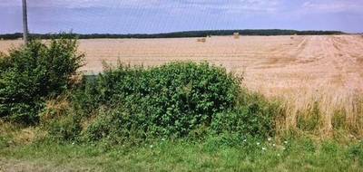 Terrain et maison à Brécy en Cher (18) de 94 m² à vendre au prix de 208860€ - 3