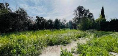 Terrain et maison à Salon-de-Provence en Bouches-du-Rhône (13) de 88 m² à vendre au prix de 380000€ - 3