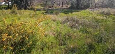 Terrain à Andernos-les-Bains en Gironde (33) de 501 m² à vendre au prix de 287750€ - 1