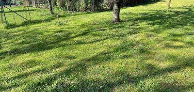 Terrain et maison à Colmar en Haut-Rhin (68) de 130 m² à vendre au prix de 1121700€ - 4