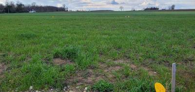 Terrain à Bourbourg en Nord (59) de 435 m² à vendre au prix de 59800€ - 1