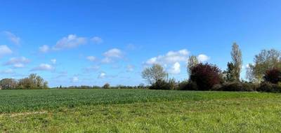 Terrain et maison à Nouzilly en Indre-et-Loire (37) de 110 m² à vendre au prix de 240000€ - 3