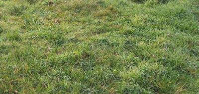 Terrain et maison à La Plaine-sur-Mer en Loire-Atlantique (44) de 80 m² à vendre au prix de 334704€ - 4