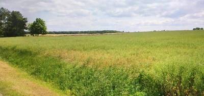 Terrain et maison à Nohant-en-Goût en Cher (18) de 97 m² à vendre au prix de 222522€ - 2