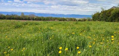 Terrain et maison à Saint-Cergues en Haute-Savoie (74) de 120 m² à vendre au prix de 605700€ - 4