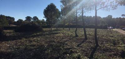 Terrain à Le Thoronet en Var (83) de 647 m² à vendre au prix de 119500€ - 3