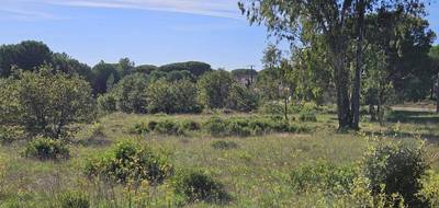 Terrain à Puget-sur-Argens en Var (83) de 656 m² à vendre au prix de 250000€ - 1