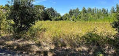 Terrain et maison à Castelnaudary en Aude (11) de 101 m² à vendre au prix de 252076€ - 4