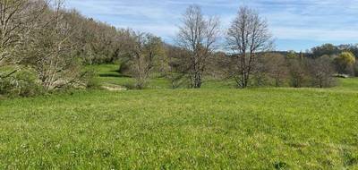Terrain à Nabirat en Dordogne (24) de 3225 m² à vendre au prix de 29400€ - 2
