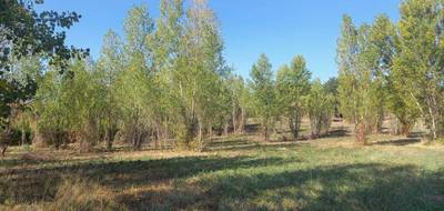 Terrain et maison à Mézens en Tarn (81) de 134 m² à vendre au prix de 349000€ - 4
