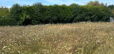 Terrain et maison à Nouzilly en Indre-et-Loire (37) de 80 m² à vendre au prix de 204900€ - 2