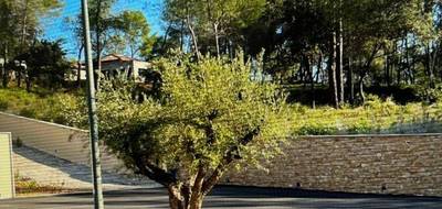 Terrain à Montferrier-sur-Lez en Hérault (34) de 800 m² à vendre au prix de 430000€ - 1