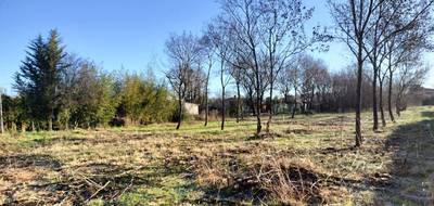 Terrain et maison à Le Luc en Var (83) de 80 m² à vendre au prix de 345000€ - 3