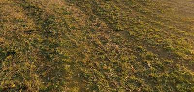 Terrain et maison à La Haie-Fouassière en Loire-Atlantique (44) de 50 m² à vendre au prix de 253469€ - 3