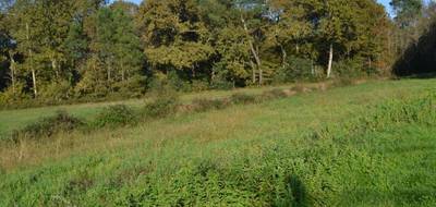 Terrain à Salles en Gironde (33) de 3200 m² à vendre au prix de 180000€ - 1