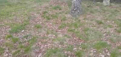 Terrain à Gujan-Mestras en Gironde (33) de 512 m² à vendre au prix de 266000€ - 3
