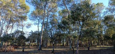 Terrain à Le Thoronet en Var (83) de 769 m² à vendre au prix de 155000€ - 4