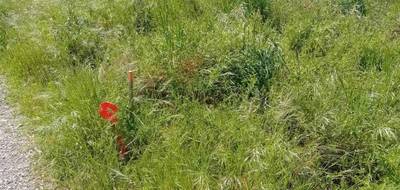 Terrain à Andernos-les-Bains en Gironde (33) de 465 m² à vendre au prix de 265000€ - 3