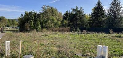 Terrain et maison à Russange en Moselle (57) de 130 m² à vendre au prix de 539000€ - 4