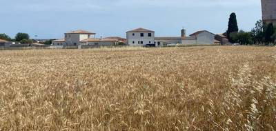 Terrain à Bassan en Hérault (34) de 376 m² à vendre au prix de 100000€ - 1