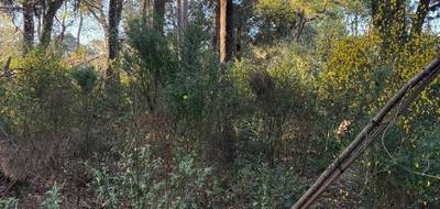 Terrain à Saint-Brevin-les-Pins en Loire-Atlantique (44) de 728 m² à vendre au prix de 231000€ - 3
