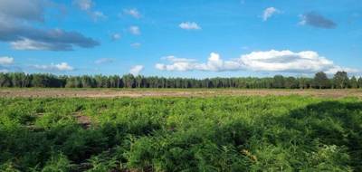 Terrain à Laluque en Landes (40) de 615 m² à vendre au prix de 49200€ - 1