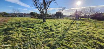 Terrain et maison à Lagrave en Tarn (81) de 90 m² à vendre au prix de 227987€ - 4
