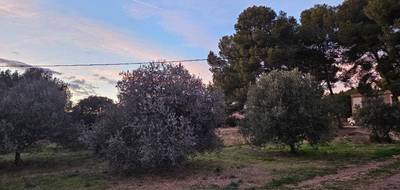 Terrain à Saint-Chamas en Bouches-du-Rhône (13) de 509 m² à vendre au prix de 230000€ - 2