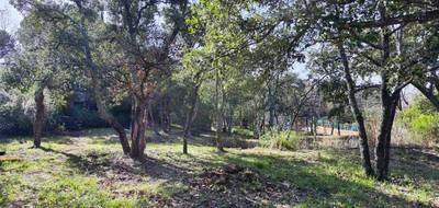 Terrain à Vidauban en Var (83) de 1270 m² à vendre au prix de 159000€ - 3