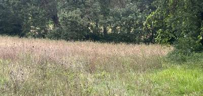 Terrain et maison à Gratentour en Haute-Garonne (31) de 145 m² à vendre au prix de 368000€ - 4