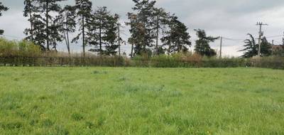 Terrain et maison à Saint-Germain-de-Salles en Allier (03) de 79 m² à vendre au prix de 168500€ - 3