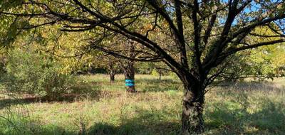 Terrain et maison à Pignans en Var (83) de 65 m² à vendre au prix de 259000€ - 4