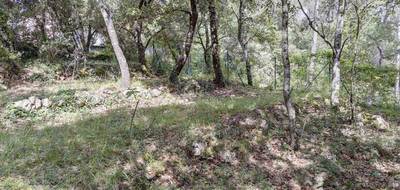 Terrain à Lorgues en Var (83) de 1160 m² à vendre au prix de 130000€ - 3