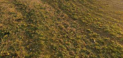 Terrain et maison à Le Loroux-Bottereau en Loire-Atlantique (44) de 95 m² à vendre au prix de 401971€ - 4