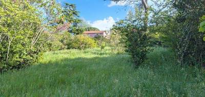 Terrain à Montpellier en Hérault (34) de 500 m² à vendre au prix de 380000€ - 3