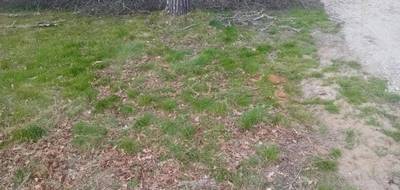 Terrain à Arcachon en Gironde (33) de 260 m² à vendre au prix de 390000€ - 2