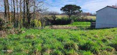 Terrain à Albi en Tarn (81) de 405 m² à vendre au prix de 48000€ - 2