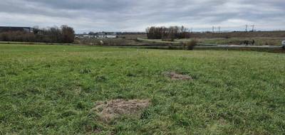 Terrain et maison à Neuville-sur-Vanne en Aube (10) de 73 m² à vendre au prix de 149813€ - 3