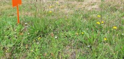 Terrain et maison à Chauvé en Loire-Atlantique (44) de 70 m² à vendre au prix de 221030€ - 3