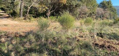 Terrain à Puget-Ville en Var (83) de 650 m² à vendre au prix de 170000€ - 1