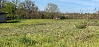 Terrain à Graulhet en Tarn (81) de 1249 m² à vendre au prix de 45000€ - 4
