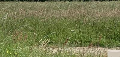 Terrain et maison à Ferrières en Charente-Maritime (17) de 110 m² à vendre au prix de 321251€ - 3